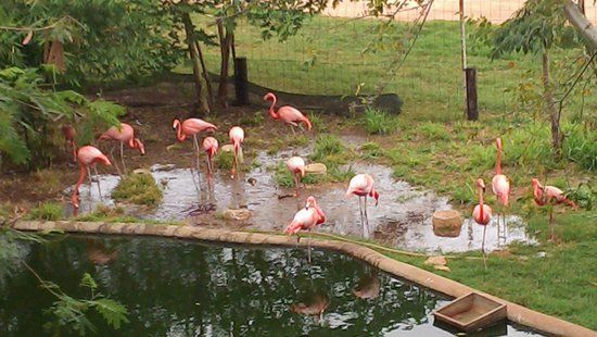 Parque Zoológico del Centenario